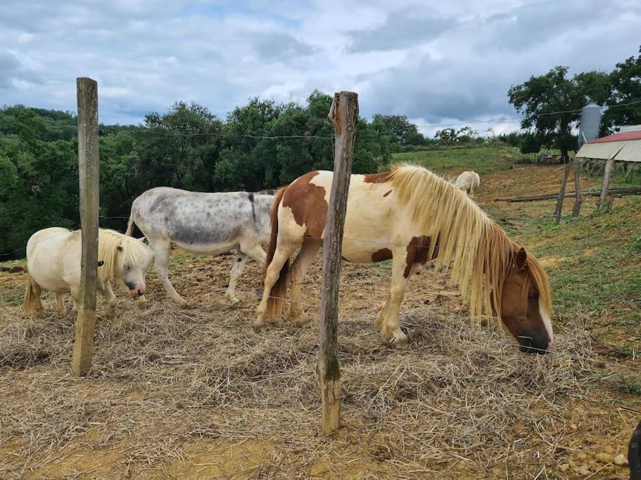 Corps De Ferme Labarthe A Pimbo Exterior foto